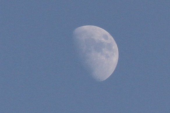 The July Moon