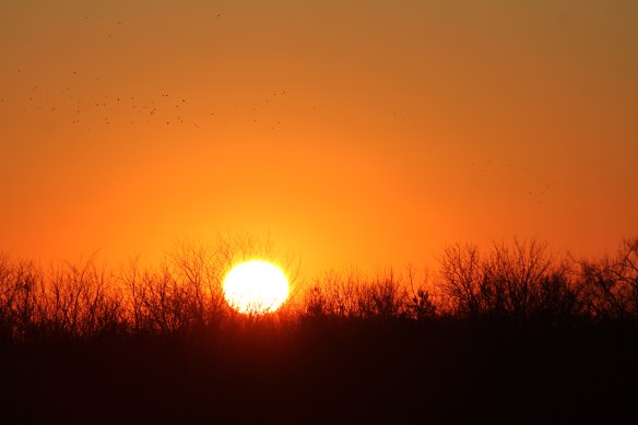 Stopping For A Photo While Running Alone