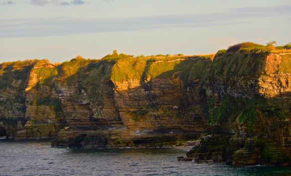 The Cliffs of Omaha Beach