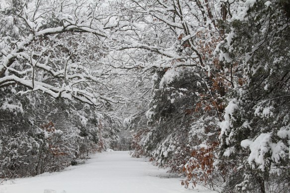 A Crazy-Funny Winter Moment