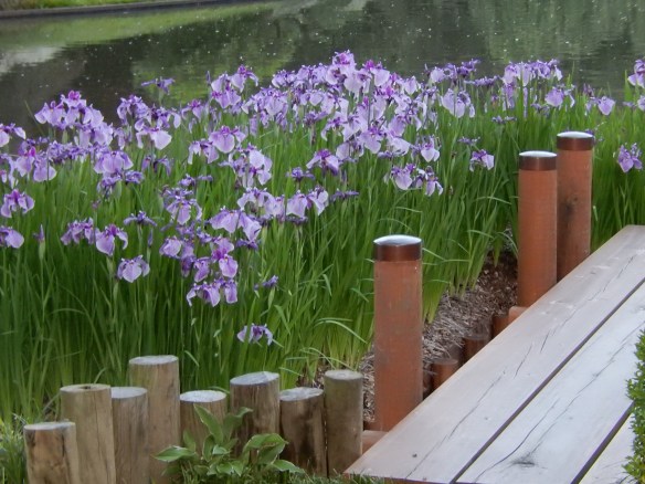 The Earth is a Beautiful Place